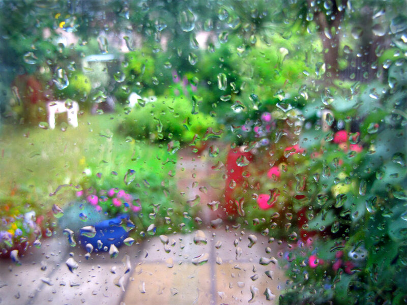 Raindrops on Window — Green, Calm