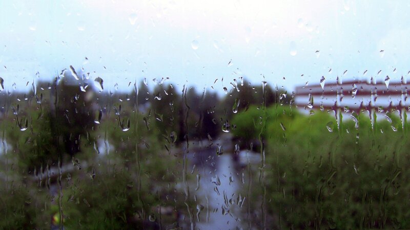 Raindrops on Window — Green, Overcast, Photograph