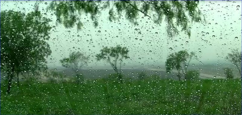 Raindrops on Window — Green, Overcast