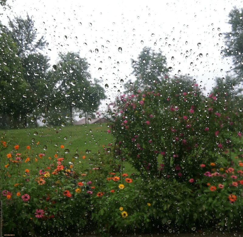 Raindrops on Window — Green