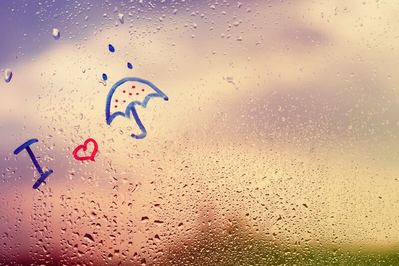 Raindrops on Window — Purple