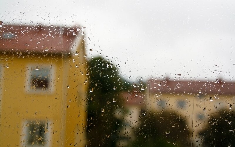 Raindrops on Window — Yellow, Overcast