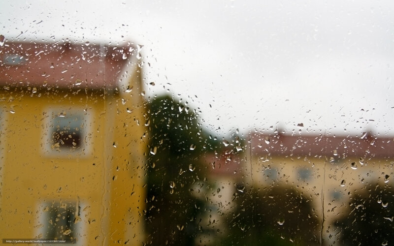 Raindrops on Window — Yellow