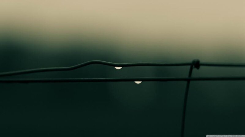 Raindrops on Wire Fence