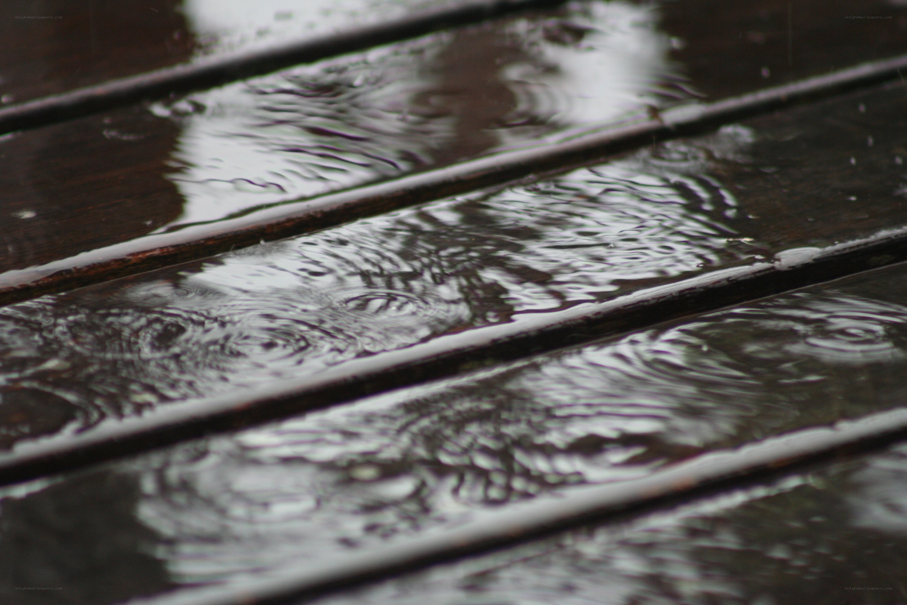 raindrops on wooden deck