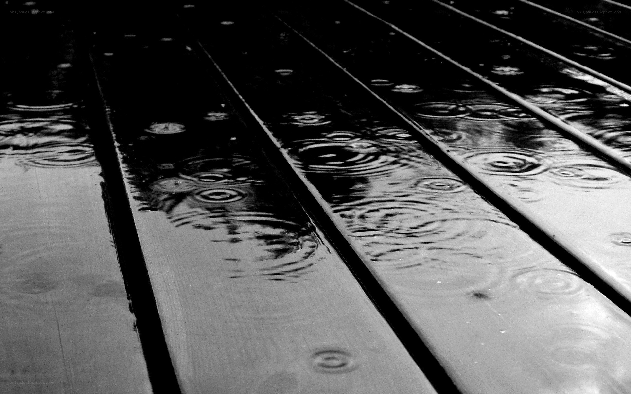 raindrops on wooden planks