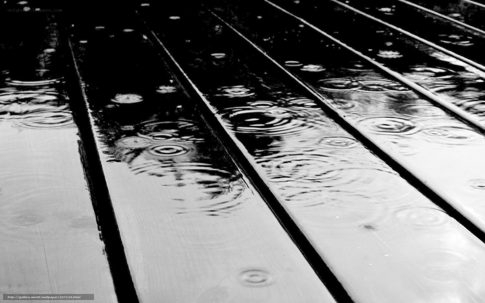 Raindrops on wooden planks