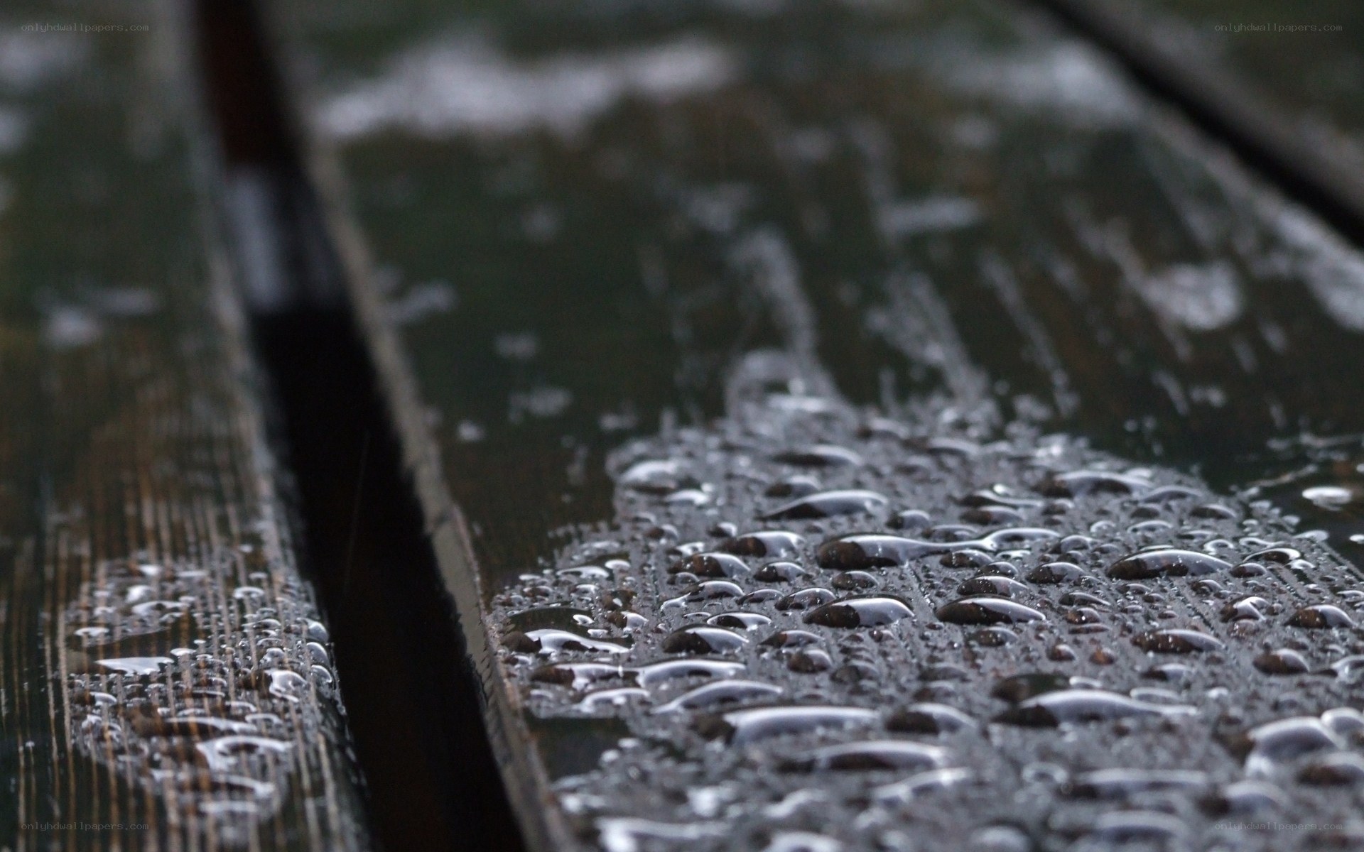 raindrops on wooden surface