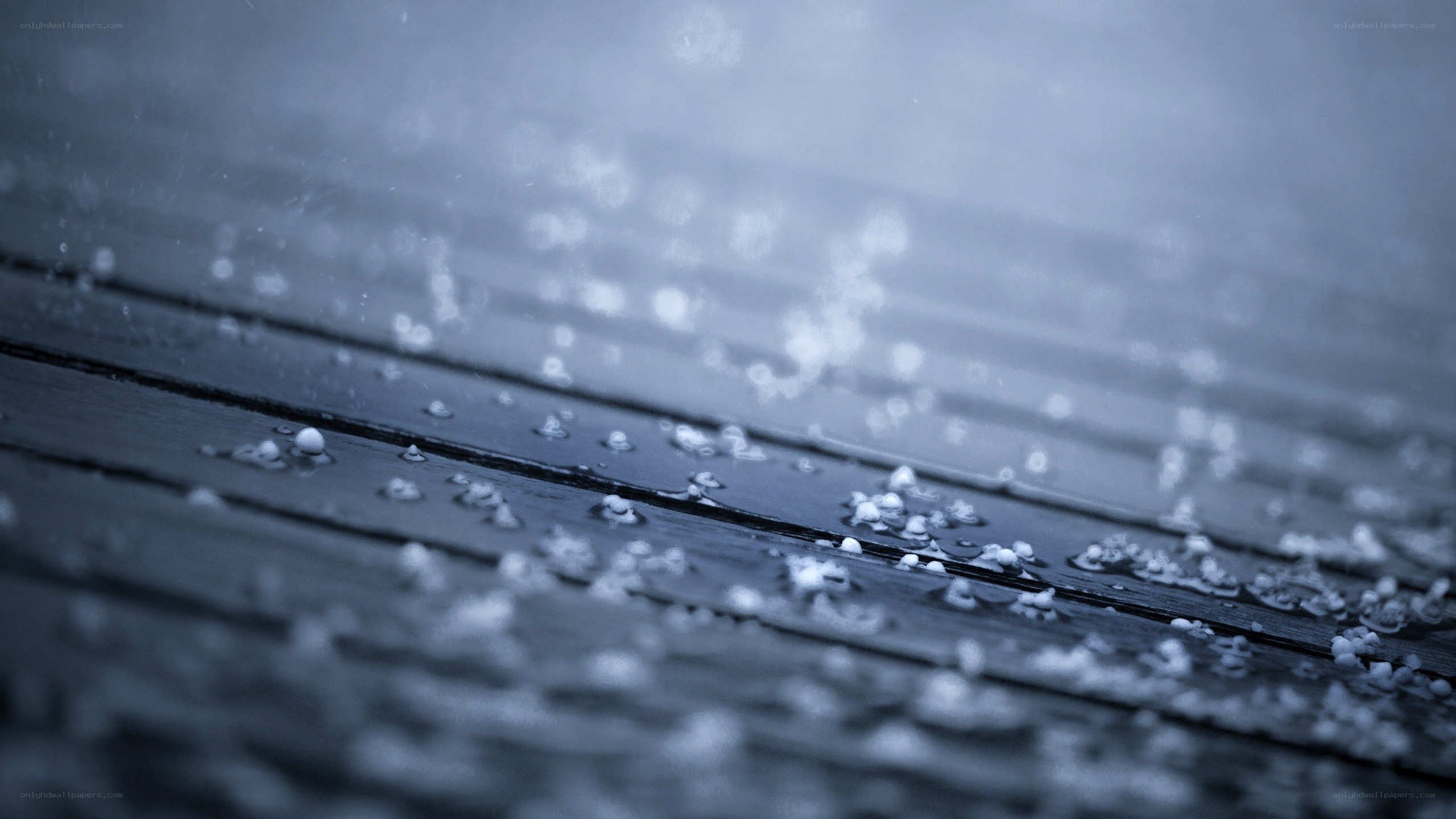 raindrops on wooden surface
