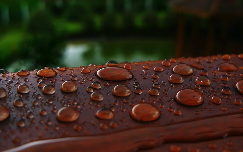 Raindrops on wooden surface