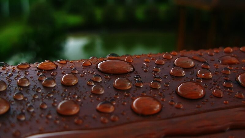 Raindrops on Wooden Surface — Brown, Calm, Photograph, Wood, Water Droplets