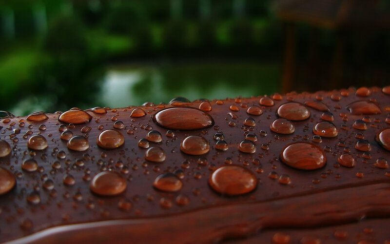 Raindrops on Wooden Surface — Brown