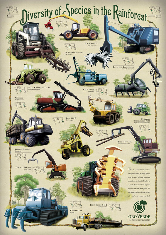 Rainforest Species Diversity