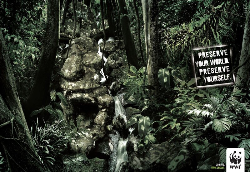 Rainforest Stream