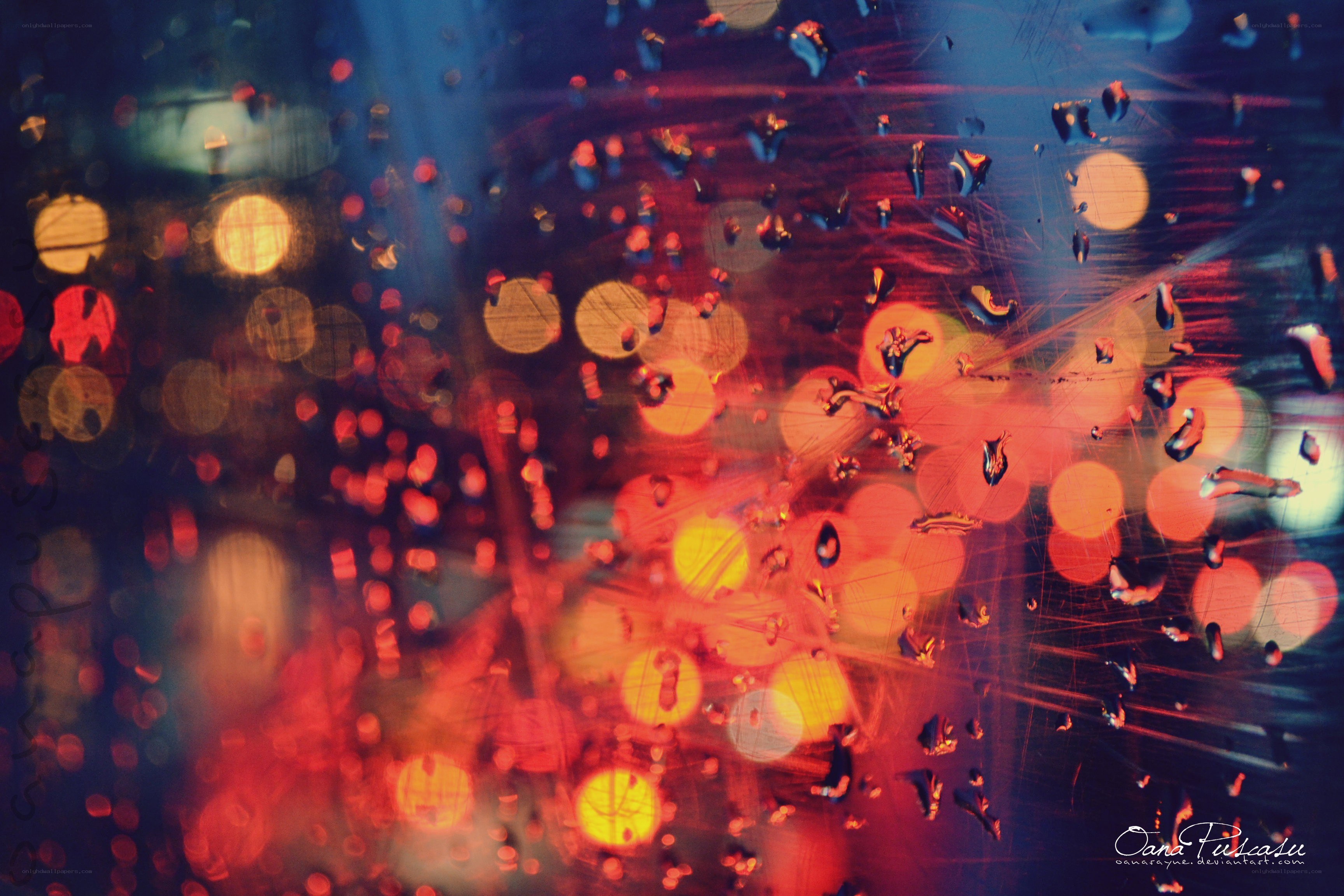 rainy city lights at night