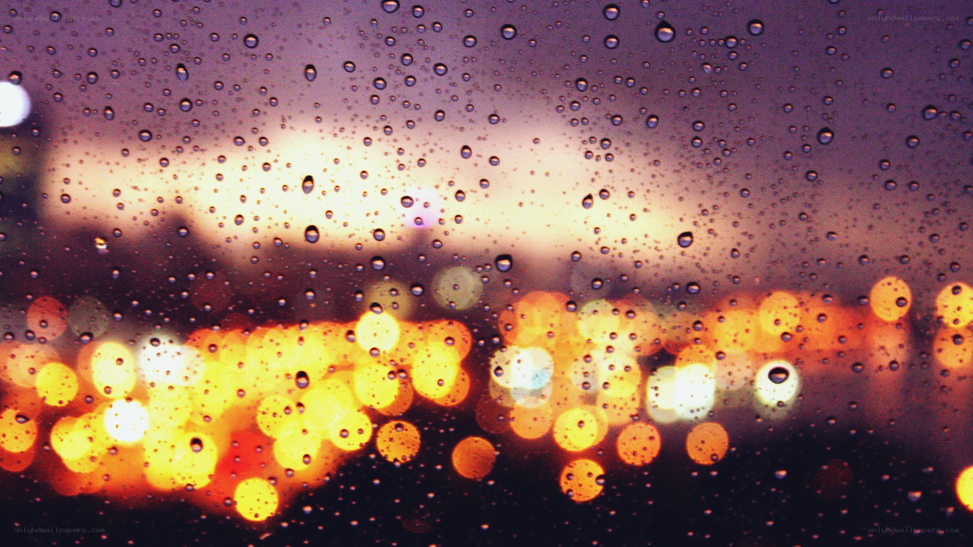 rainy city lights at night