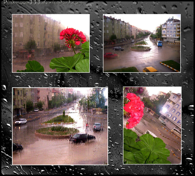 Rainy city scenes collage
