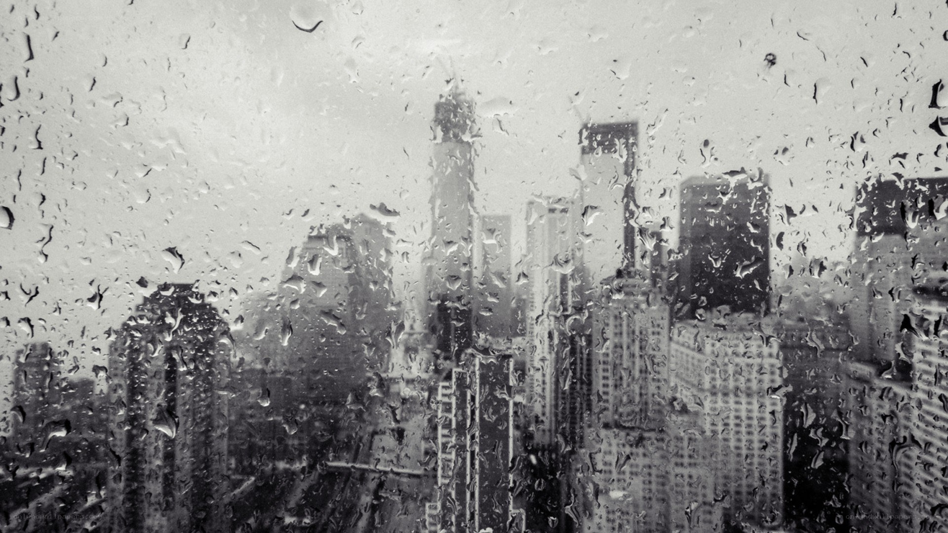 rainy city skyline view