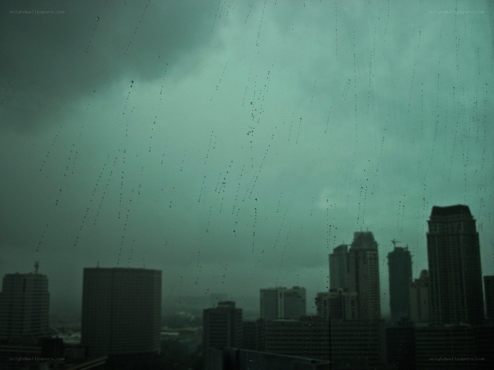 rainy city skyline view