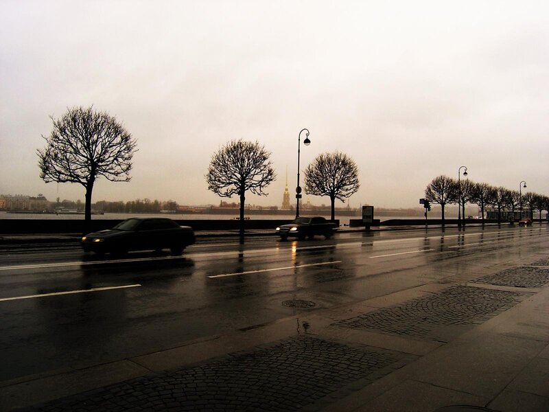 rainy city street with cars