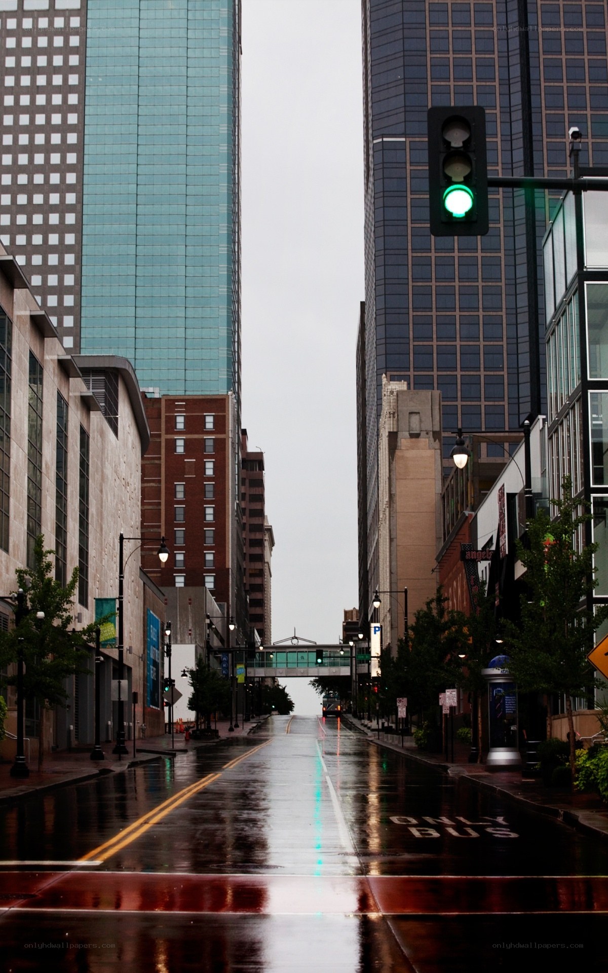rainy city street with green light