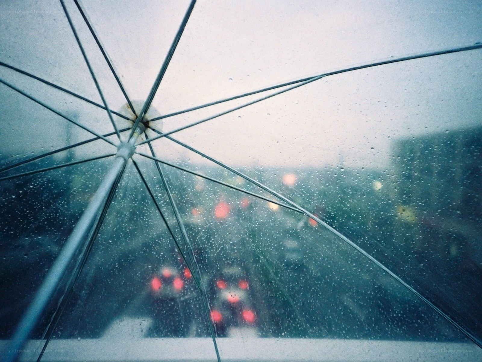 rainy city view from umbrella