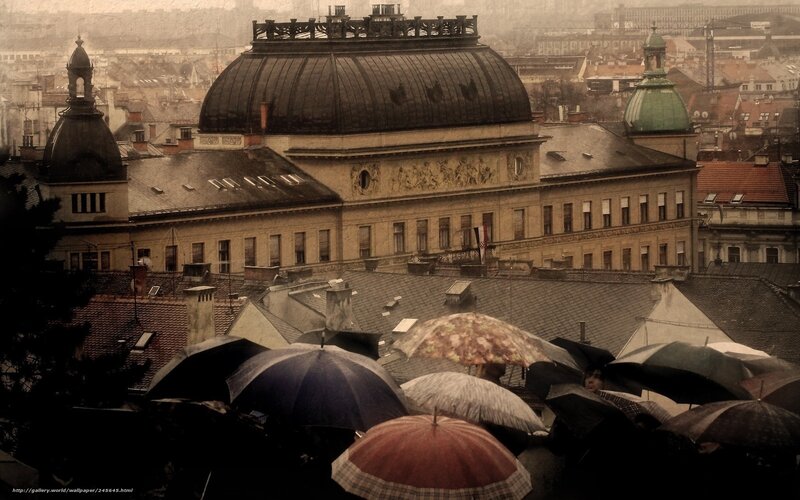 Rainy cityscape with umbrellas