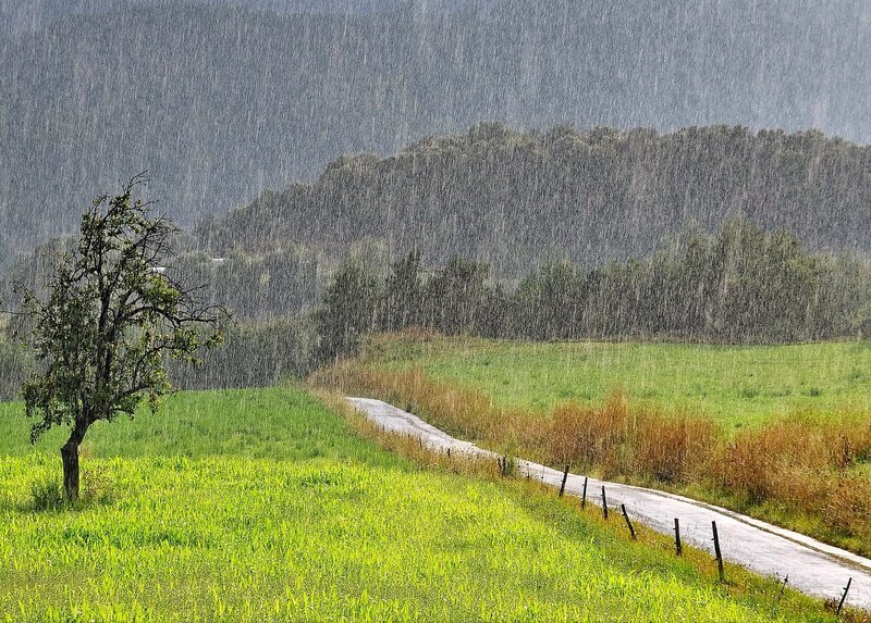 Rainy Country Road — Green