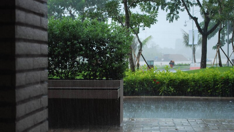 Rainy day in a park
