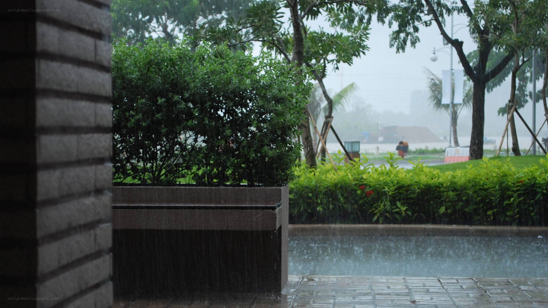 Rainy day in a park