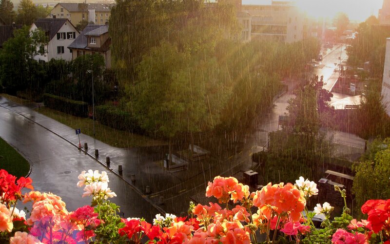 Rainy Day in a Residential Neighborhood