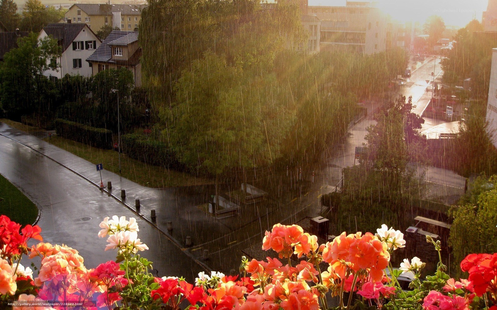 Rainy day in a residential neighborhood