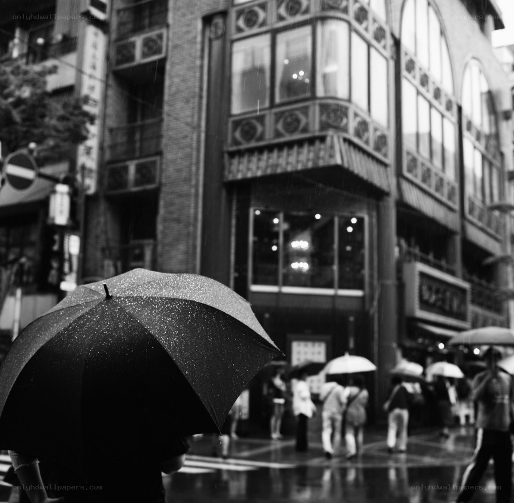 Rainy day in the city