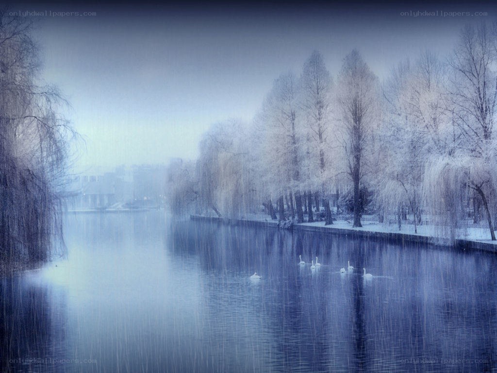 Rainy Day on the River
