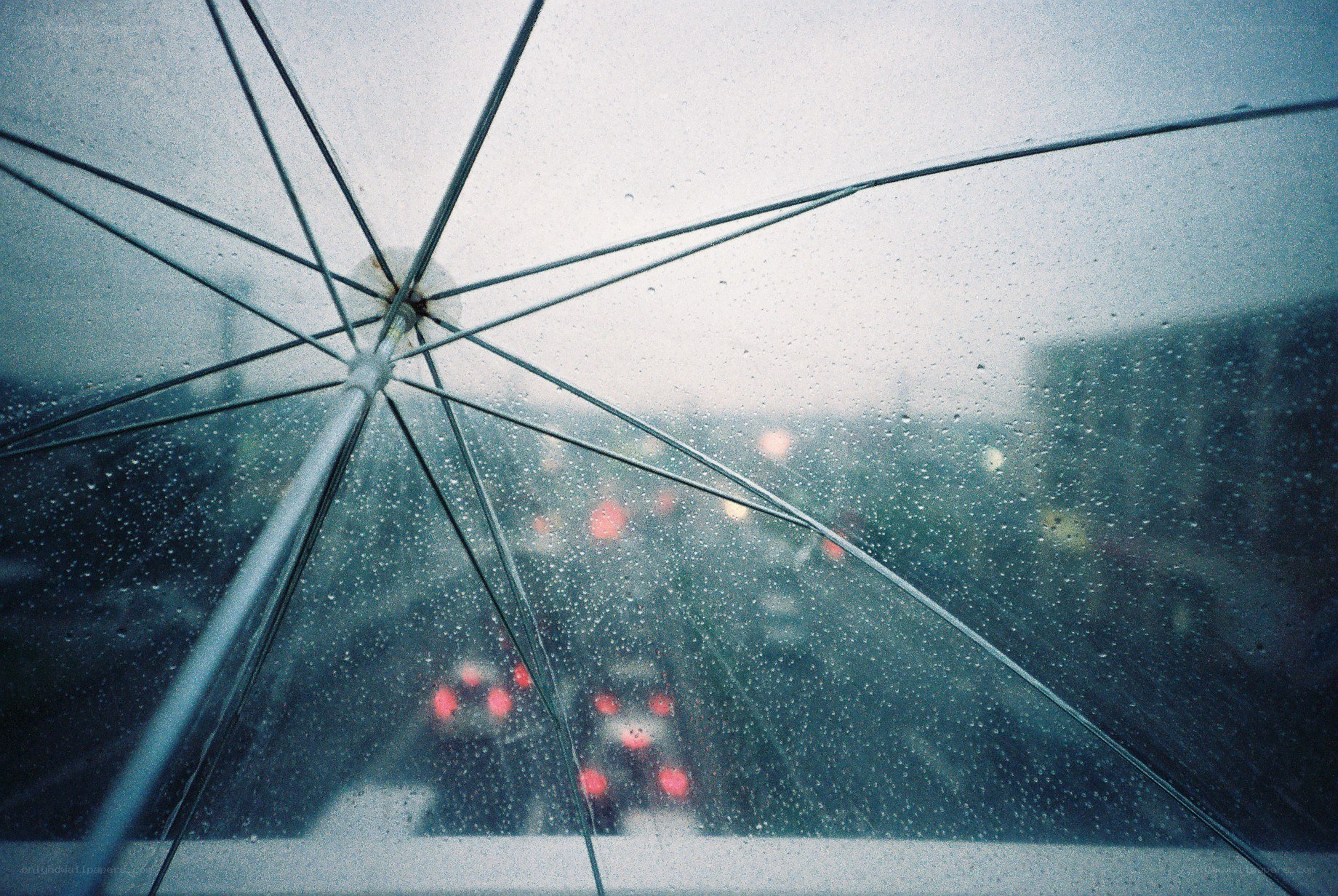 Rainy day under an umbrella