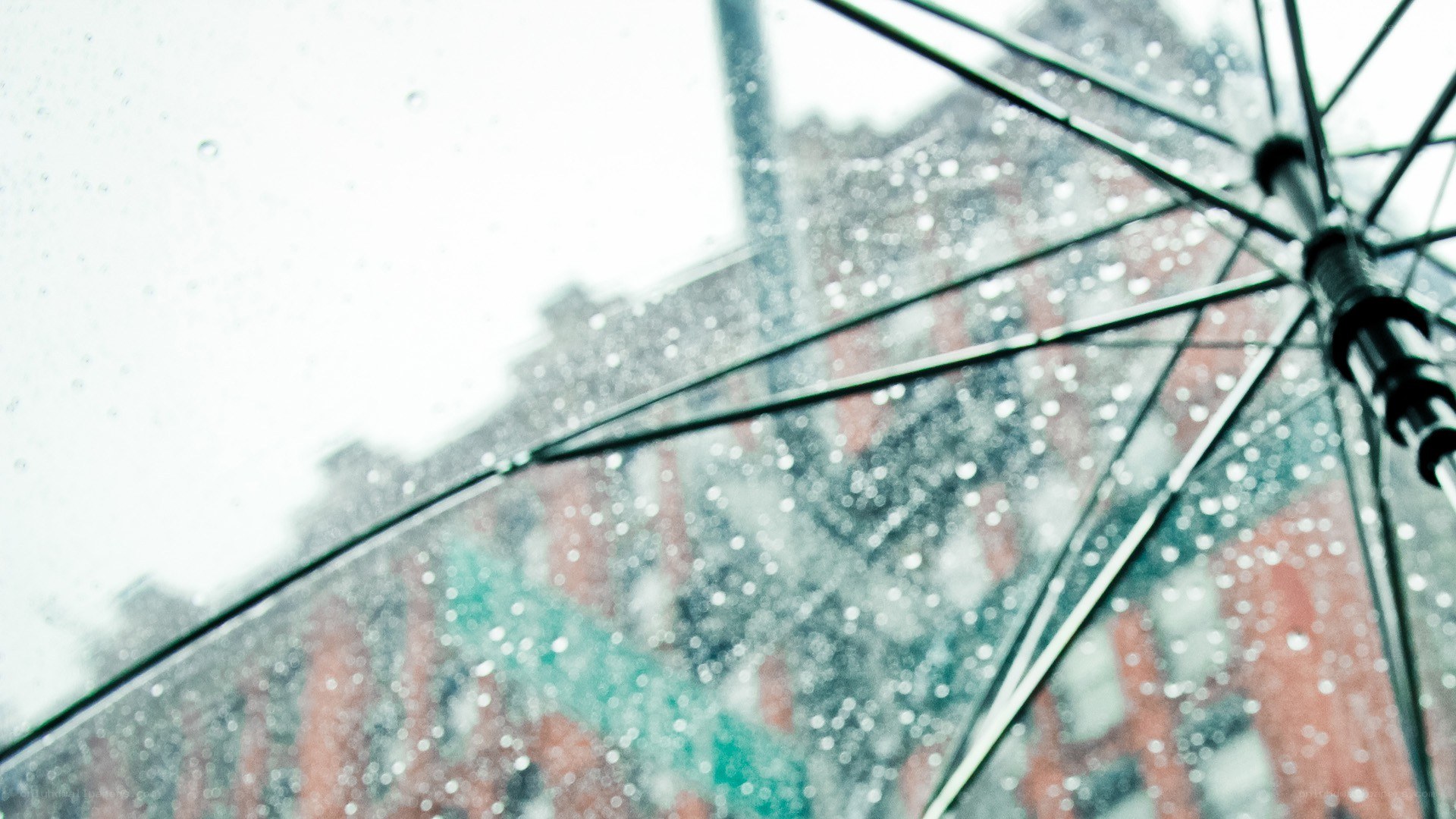 rainy day under an umbrella