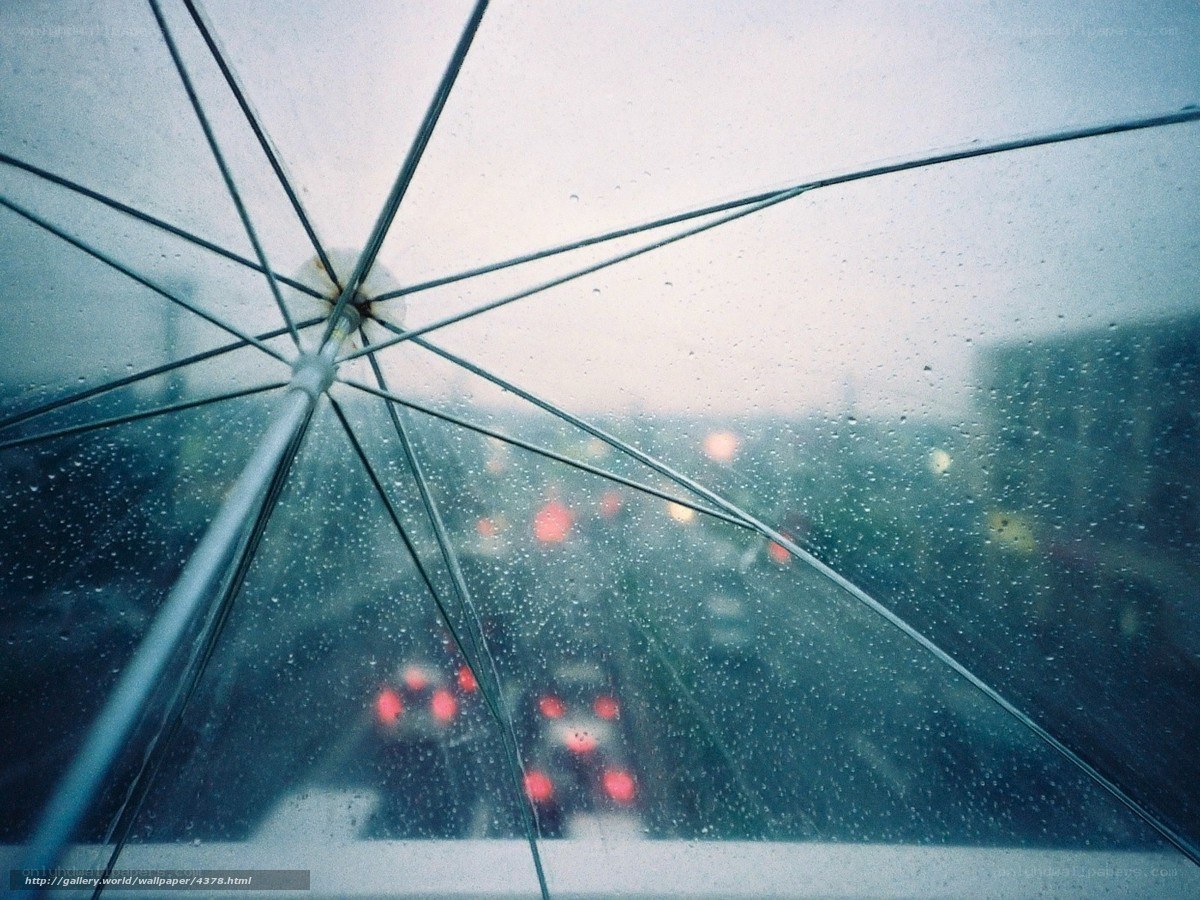 Rainy day under an umbrella