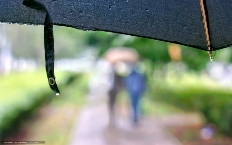 rainy day walk under umbrella