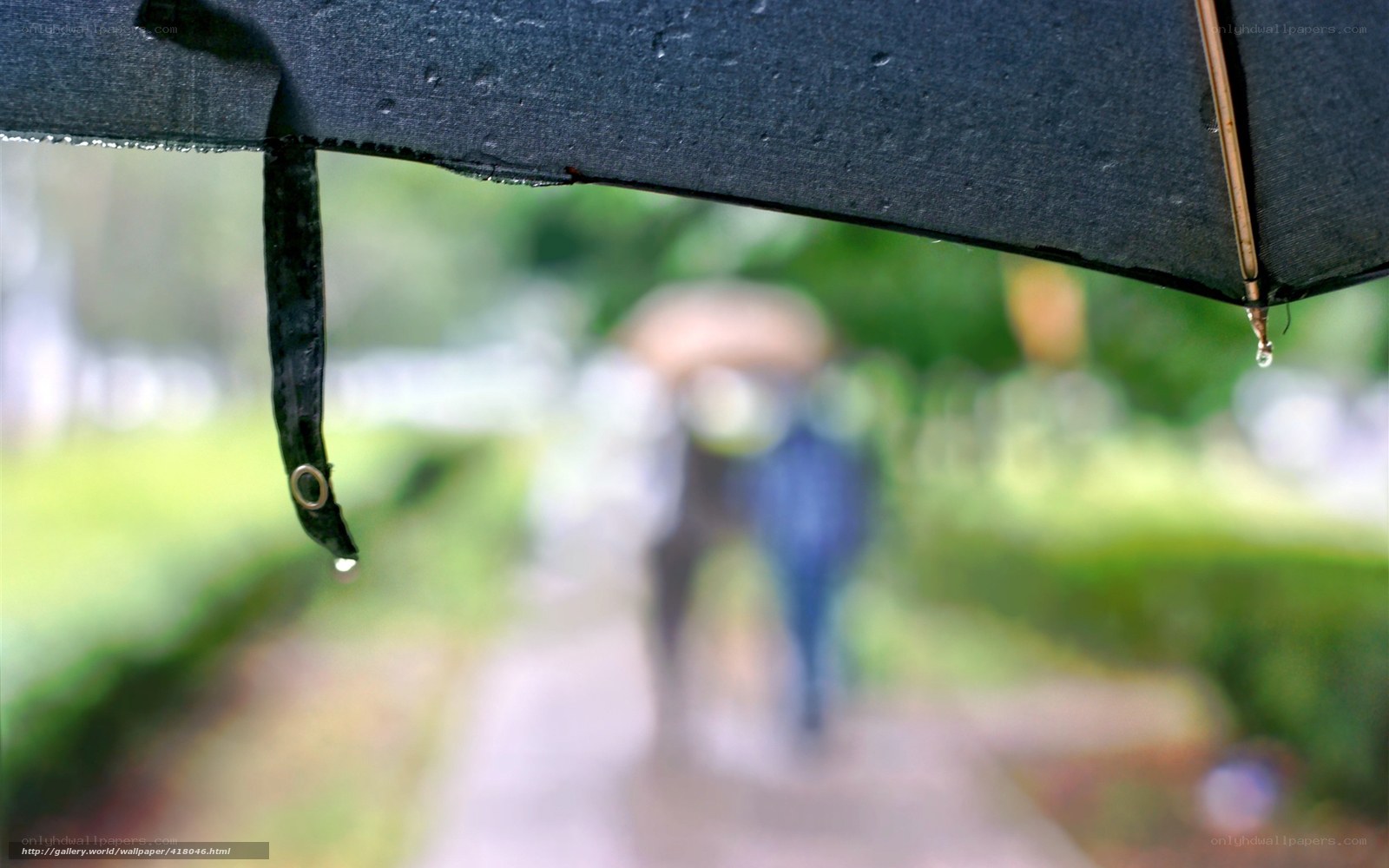 rainy day walk under umbrella
