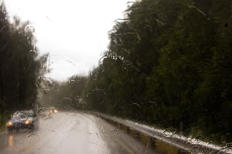 Rainy drive on a forest road