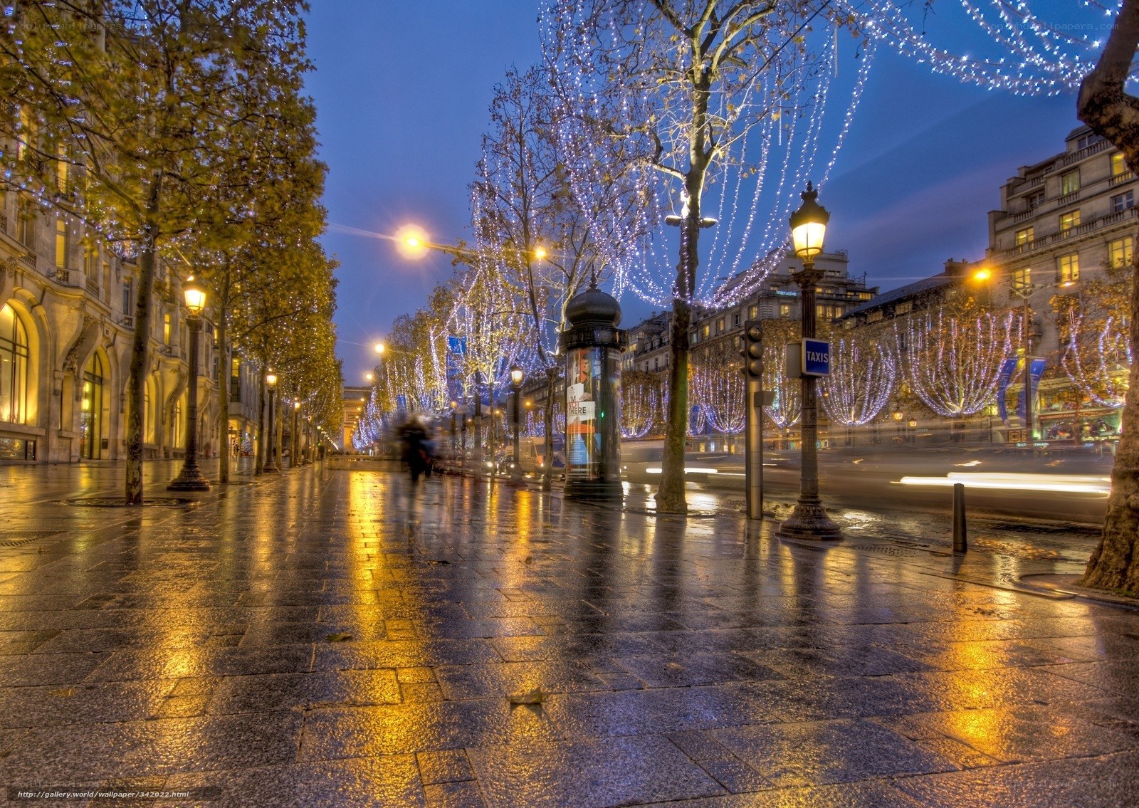 Rainy evening on a Parisian boulevard