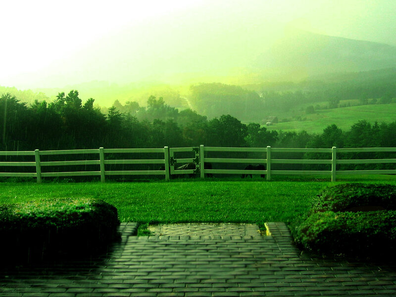 Rainy farm landscape