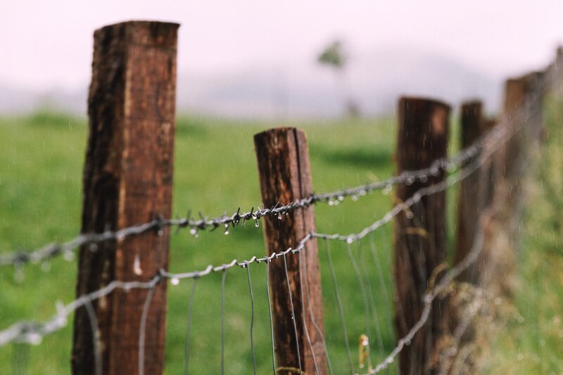 rainy fence in a green field