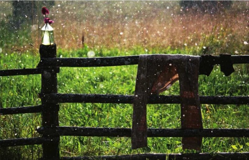 Rainy fence with cloth and flower