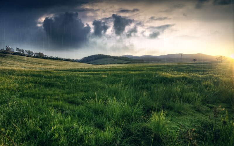 Rainy field at sunset