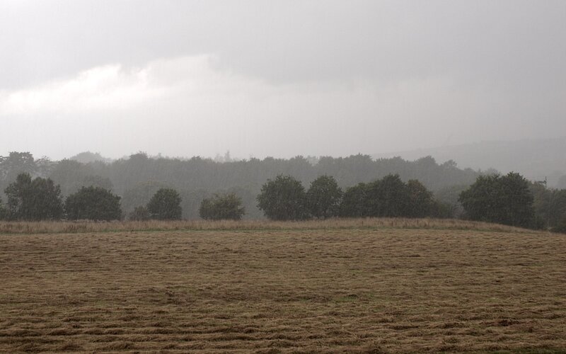 Rainy Field with Trees — Brown
