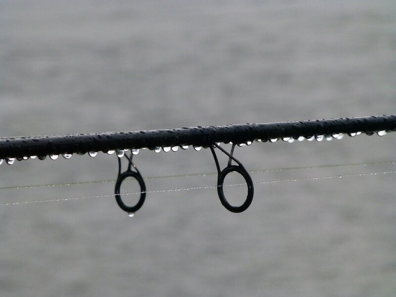 Rainy Fishing Rod