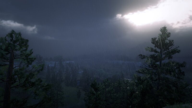 Rainy Forest Landscape — Green, Dreary
