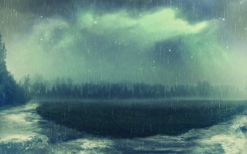 Rainy Forest Landscape — Green, Moody, Night
