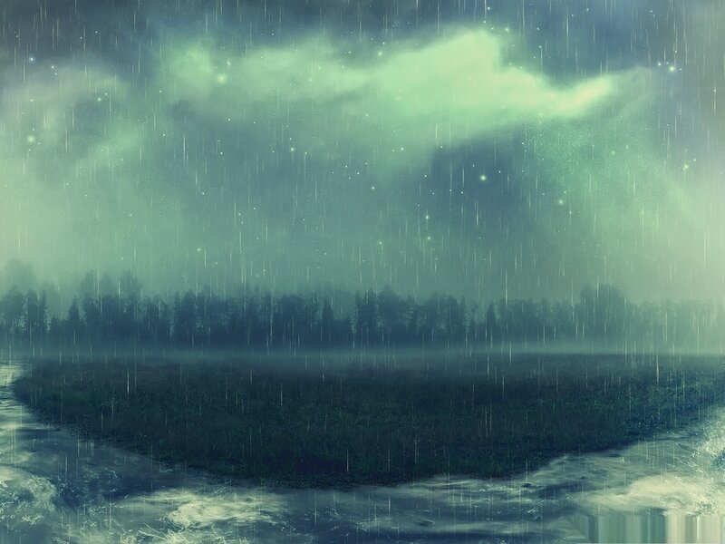 Rainy Forest Landscape — Green, Moody